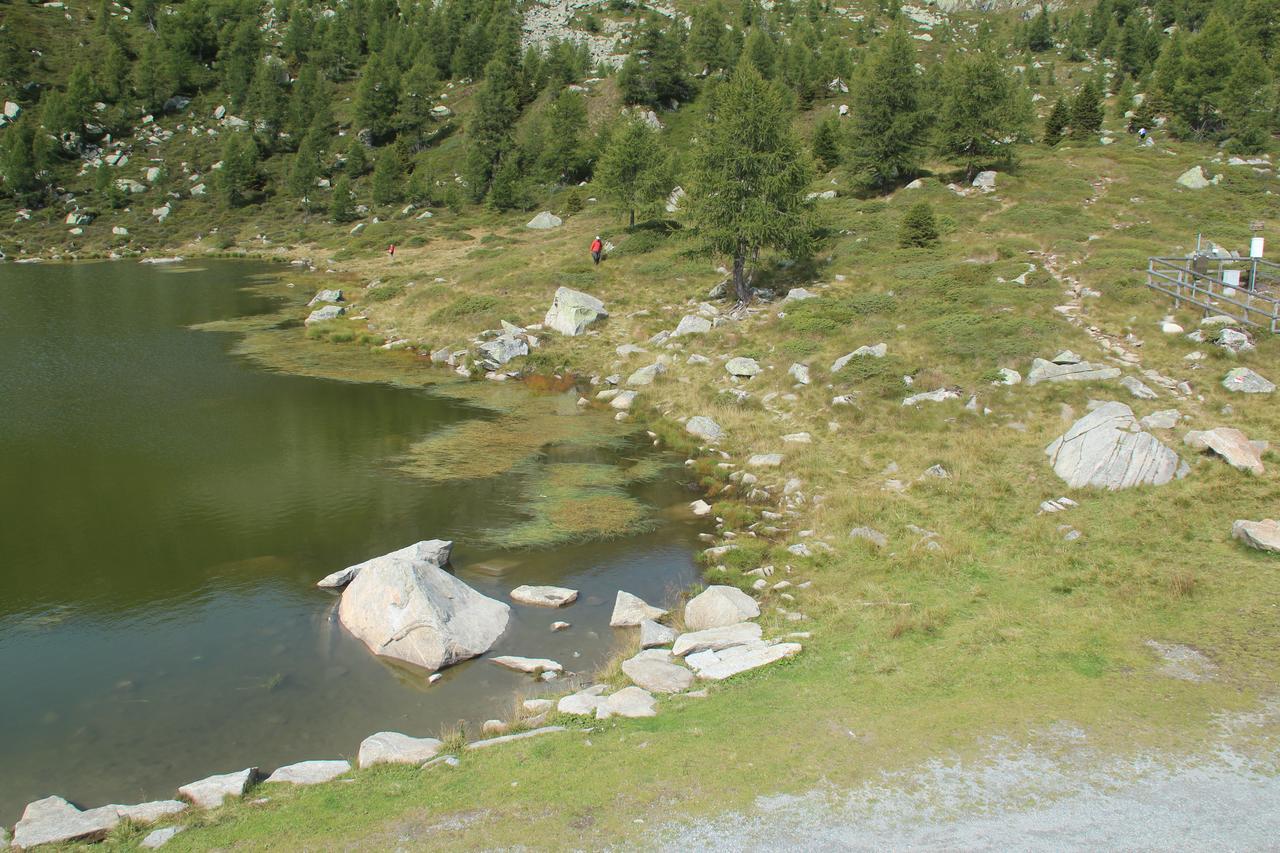 Rifugio Viviani Pradalago Madonna di Campiglio Ngoại thất bức ảnh