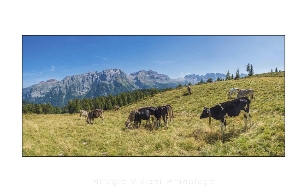 Rifugio Viviani Pradalago Madonna di Campiglio Ngoại thất bức ảnh